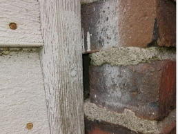 Mice Control and Exclusion in wood/bricks